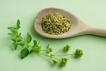 Die außergewöhnliche Kraft des Oregano-Tees